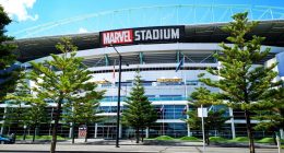 Teen caught allegedly trying to enter AFL match with imitation gun