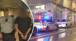 Teens arrested after car allegedly stolen from Victoria is dumped in Sydney