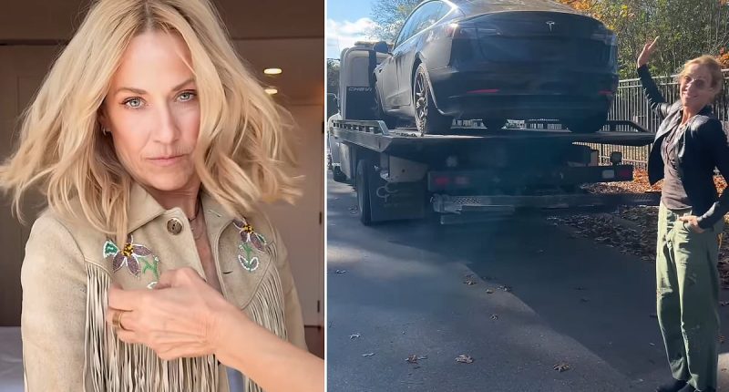 Terror for Sheryl Crow as armed man breaks into her barn on remote Tennessee property