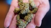 Texas lawmakers move to ban legal THC, hemp amid medical marijuana expansion
