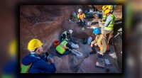 Texas road work leads to archeological discoveries of 'colossal creatures'