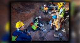 Texas road work leads to archeological discoveries of 'colossal creatures'