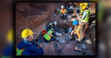 Texas road work leads to archeological discoveries of 'colossal creatures'