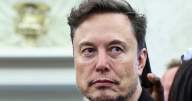 The telling signs that Trump's fascination with Elon Musk is fading… but the onetime 'first buddy' is making it clear he's not ready to quit the White House bubble
