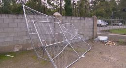 Thieves steal 15 cars from Queensland car yard business in overnight raid
