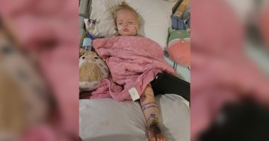 Toddler bit twice by rattlesnake, received more than 30 vials of antivenom