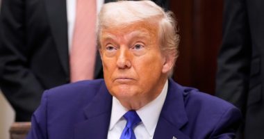Trump: I'd be a 'stupid person' saying no to Qatari plane