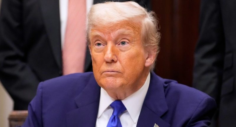 Trump: I'd be a 'stupid person' saying no to Qatari plane