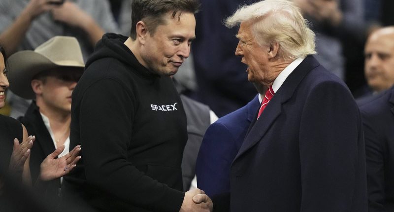 Trump announces plan to farewell 'terrific' Musk from the White House and hints at tech billionaire's future role