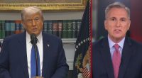 Trump drug order can work, but only with Dems' cooperation: McCarthy
