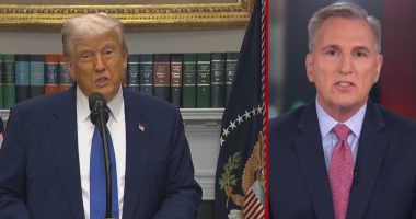 Trump drug order can work, but only with Dems' cooperation: McCarthy