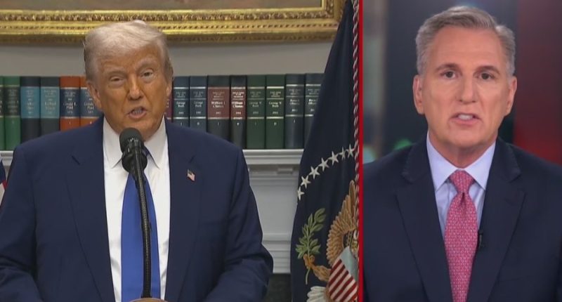 Trump drug order can work, but only with Dems' cooperation: McCarthy