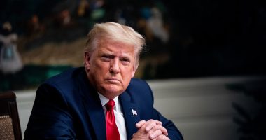 Trump 'heir' torches GOP for ditching Elon Musk in scorched-earth tirade: 'The Swamp has won'