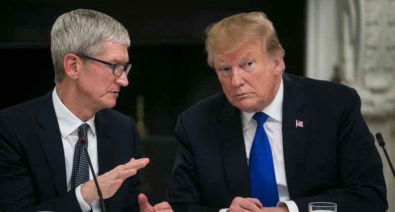 Trump's alliance with Musk enters new phase as tech mogul shifts focus