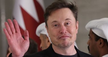 Trump's original 'first buddy' reveals exact moment White House bromance with Elon Musk went up in flames