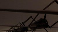 Ukrainian Drones Patrol A 16-Mile Kill Zone. ‘If You Simply Drive On Any Roads, You Risk Your Life,’ One Russian Blogger Warned.