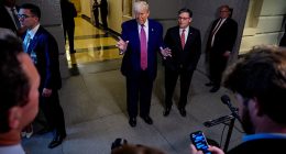 Unlikely for 'Trump put' to staunch market sell-off