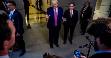 Unlikely for 'Trump put' to staunch market sell-off