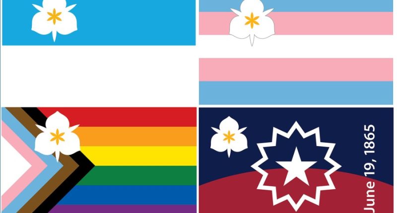 An image showing the Sego Lily flag for Salt Lake City (top left) and three new designs that were unanimously approved by the city council on May 6, 2025. (Courtesy: Office of Mayor Erin Mendenhall)