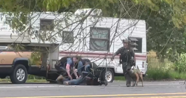 VIDEO: K-9 attacks standoff suspect at Oregon rest stop