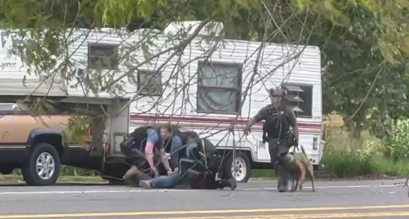 VIDEO: K-9 attacks standoff suspect at Oregon rest stop
