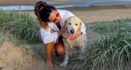 Vet's crucial advice to dog owners as temperatures rise in UK