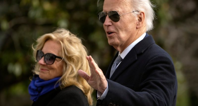Video reportedly shows DNC official questioning Biden's power in WH