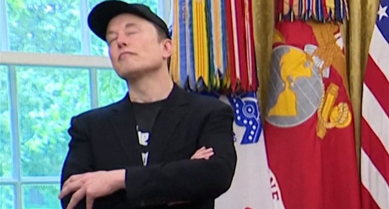 Viewers comment on Elon Musk's distracted appearance at White House after explosive report claimed he took ketamine, ecstasy and magic mushrooms on campaign trail