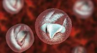 Warning signs of deadly 'crypto' parasite everyone must know - after major UK outbreak