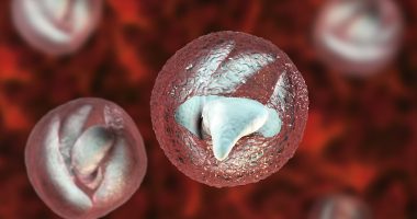 Warning signs of deadly 'crypto' parasite everyone must know - after major UK outbreak