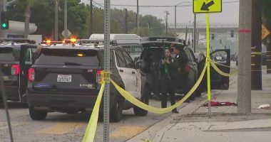 Watch: Man appears to be arrested in background of live news report