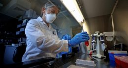 What is 'gain-of-function' research? Why is Trump restricting it?
