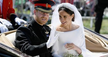 Prince Harry and Meghan on their wedding day in May 2018. A royal biographer has claimed the Queen was shocked by Harry's behaviour before and after the marriage