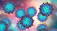 World's most infectious disease hits major US city of 8 million prompting major outbreak fears