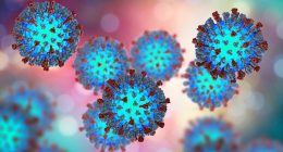 World's most infectious disease hits major US city of 8 million prompting major outbreak fears