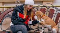 Your dog is saying something specific if they paw at you