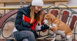 Your dog is saying something specific if they paw at you