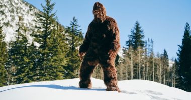 Bigfoot in a snowy mountain forest.