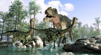 Illustration of a Tyrannosaurus rex hunting Gallimimus dinosaurs near a body of water.