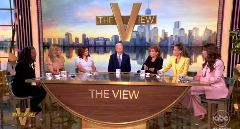 Screenshot of President Biden appearing on The View.