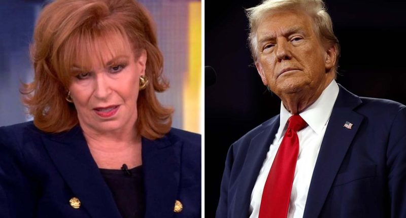 ‘The View’s Joy Behar Fires Back At Trump For Calling His Friend “Neurotic” And “Seriously Overweight”: “Look In The Mirror”