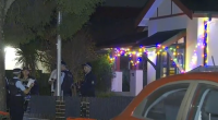 Emergency services called to a welfare check at the house in Croydon Park about 5pm yesterday found a man, believed to be a 29-year-old Malaysian national, dead with stab wounds to his neck.