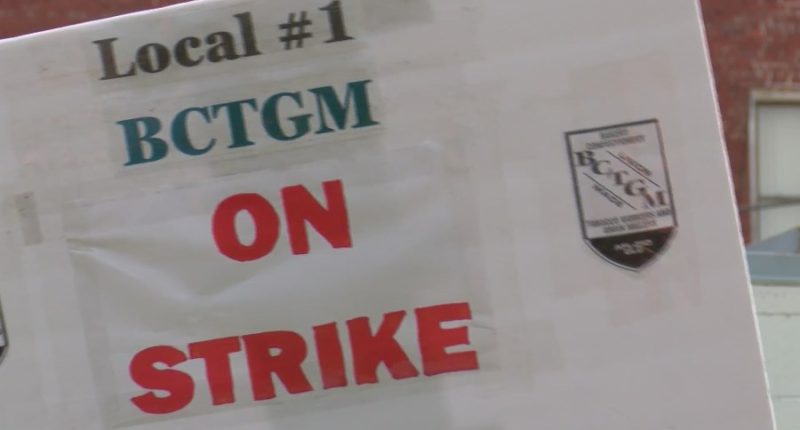 'It's a good slap in the face': Employees in Hoopeston on strike