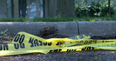 'Our heart goes out'; Champaign police respond to recent shootings