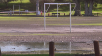 'Really disruptive event': Disgusting problem spreading in Perth