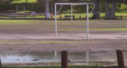 'Really disruptive event': Disgusting problem spreading in Perth