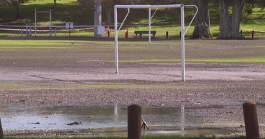 'Really disruptive event': Disgusting problem spreading in Perth