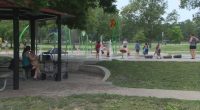 'She started following me': Teenager, grandmother alert police to child wandering alone in Champaign