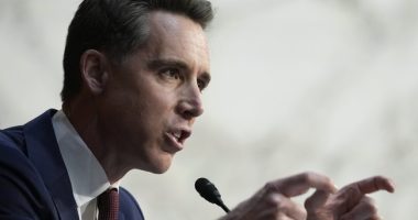 'This Violence Isn't Spontaneous': Senator Hawley Has Questions on LA Riots, Vows Investigation