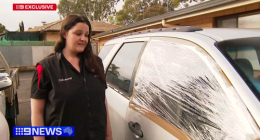 'You know you want to fight me': Road rage victims feared for their lives